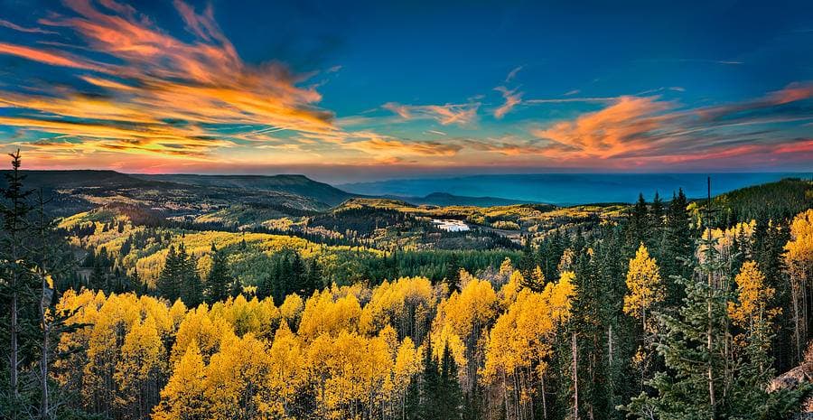 FirstLight Home Care of Grand Junction