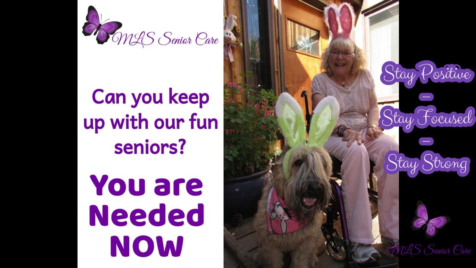MLS Senior Care