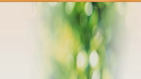 Haven Home Health, Inc.