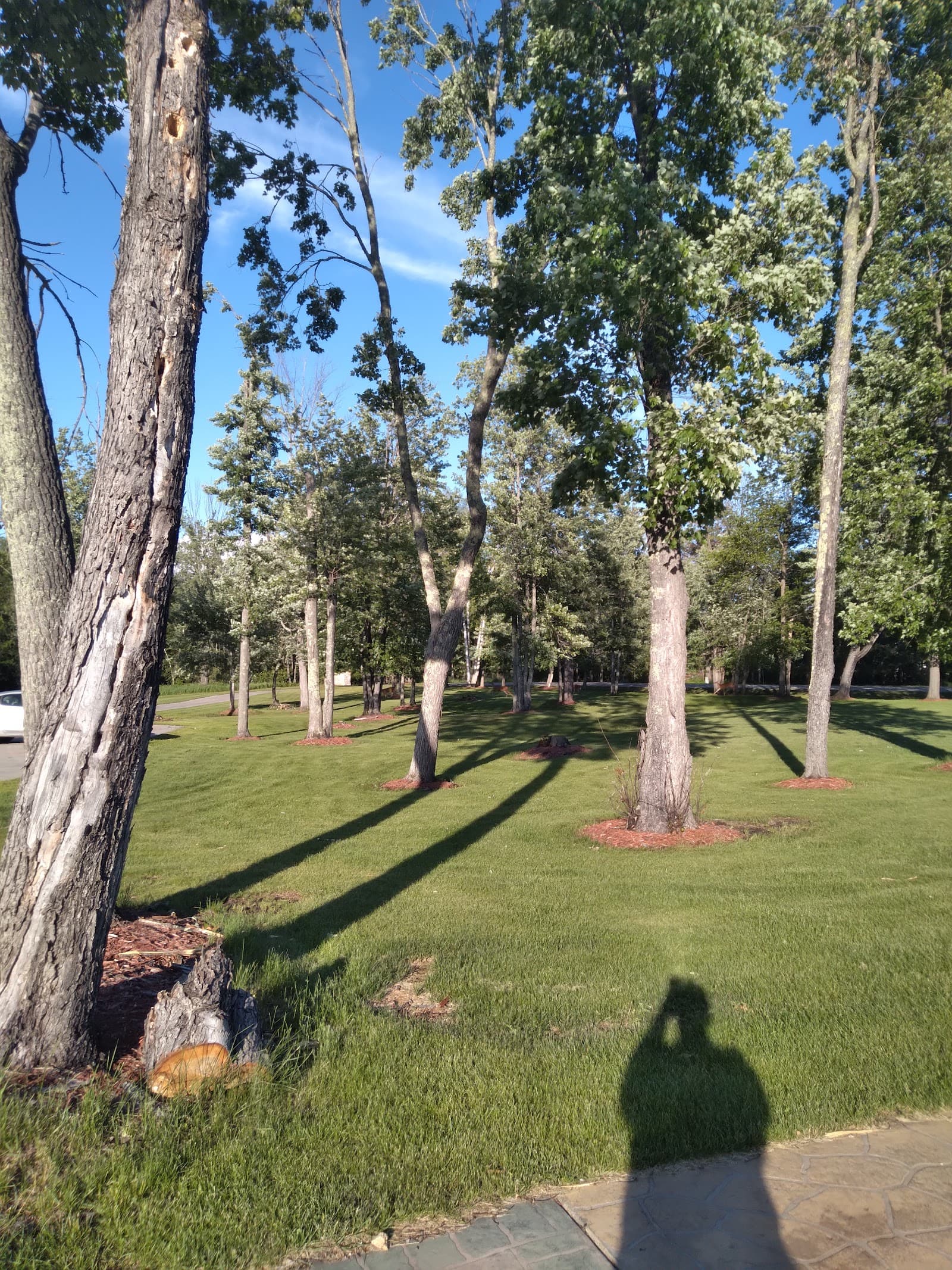 Maple Woods Assisted Living