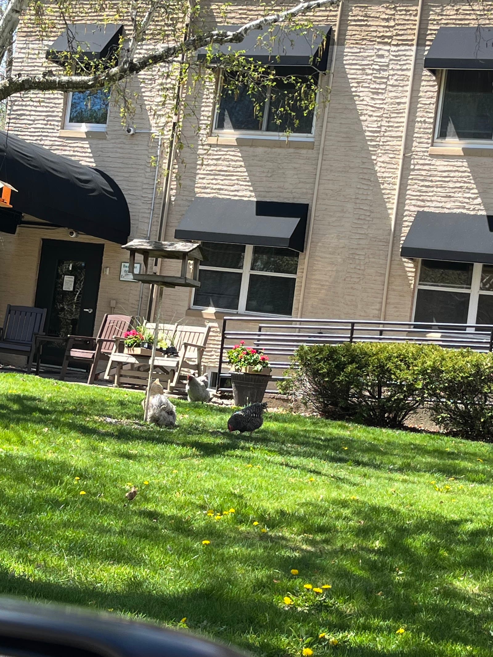 Long Lake Assisted Living