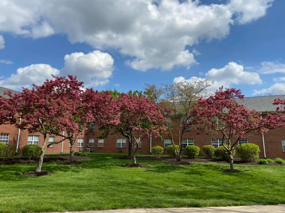 The Wyndmoor of Castleton