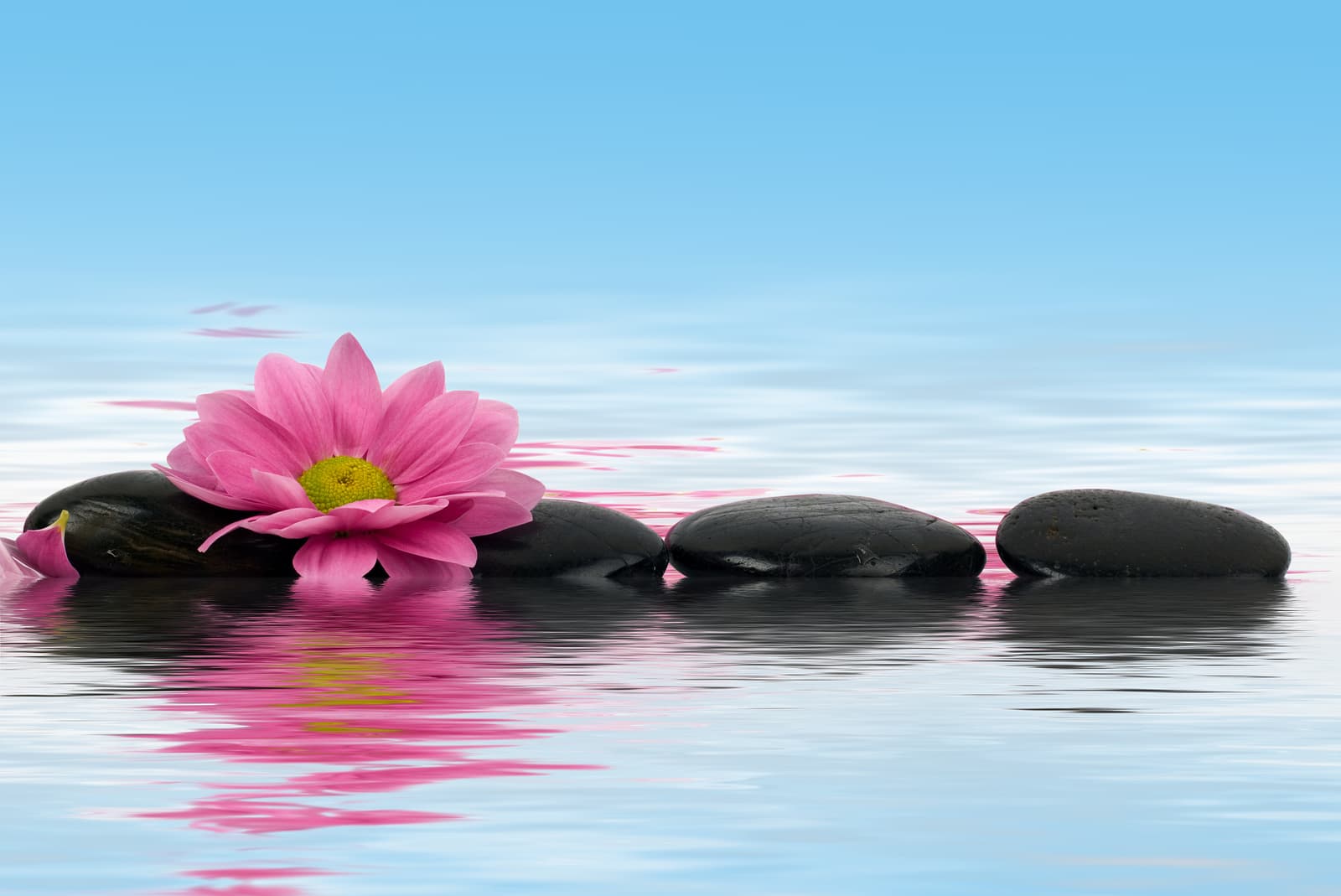 Tranquility Care