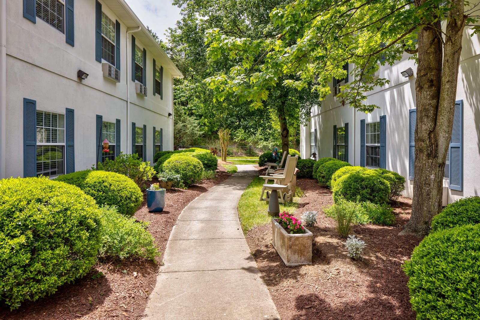 TerraBella Little Avenue
