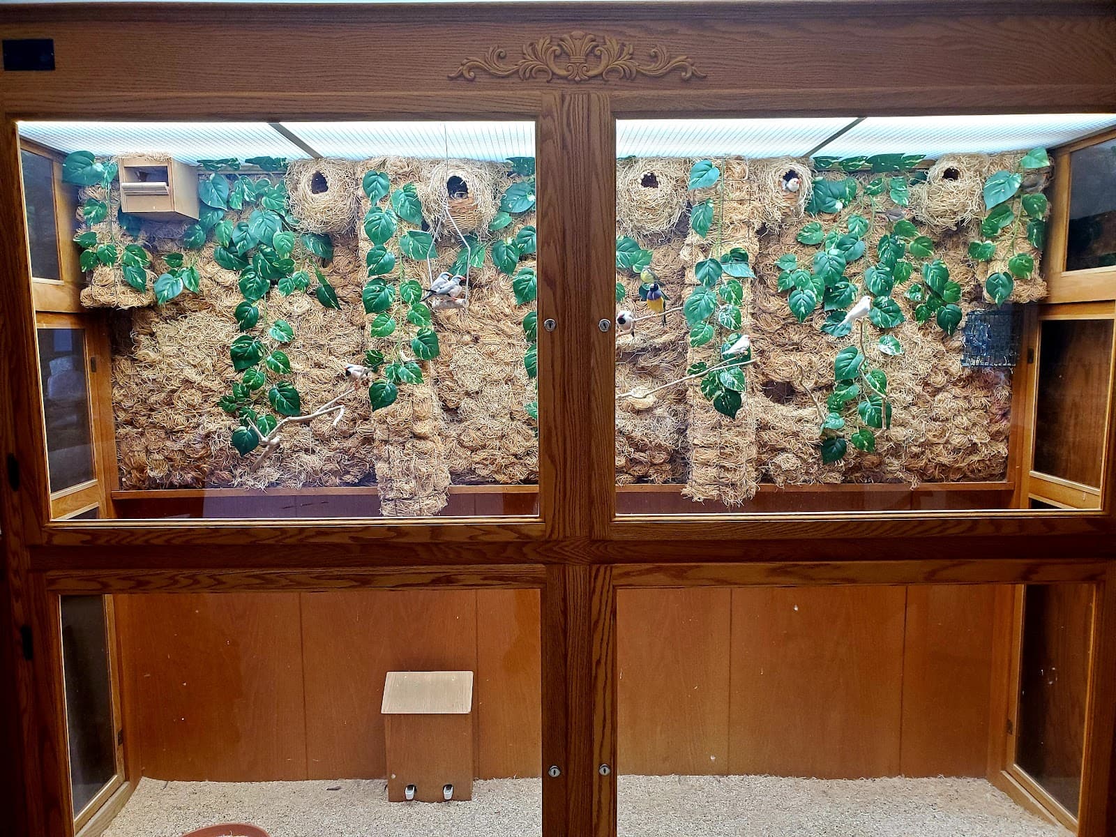 Bethel Oaks Memory Care Home