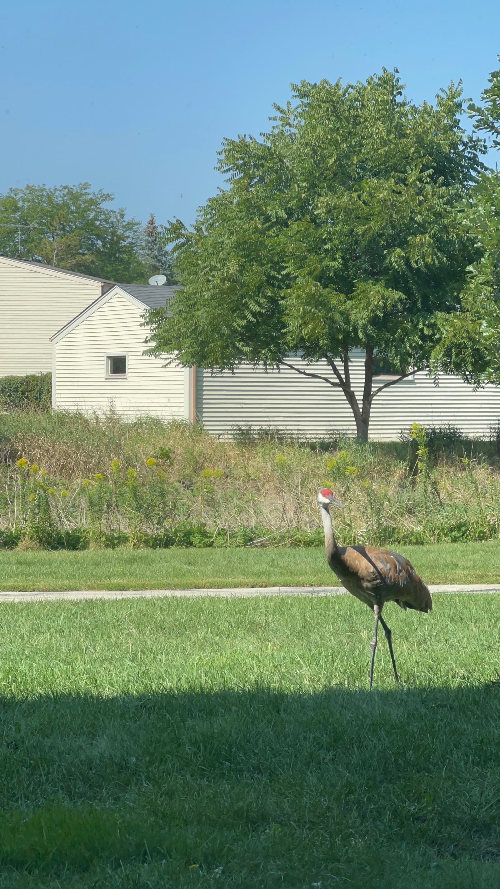 Ccls Oakdale Drive — photo 1