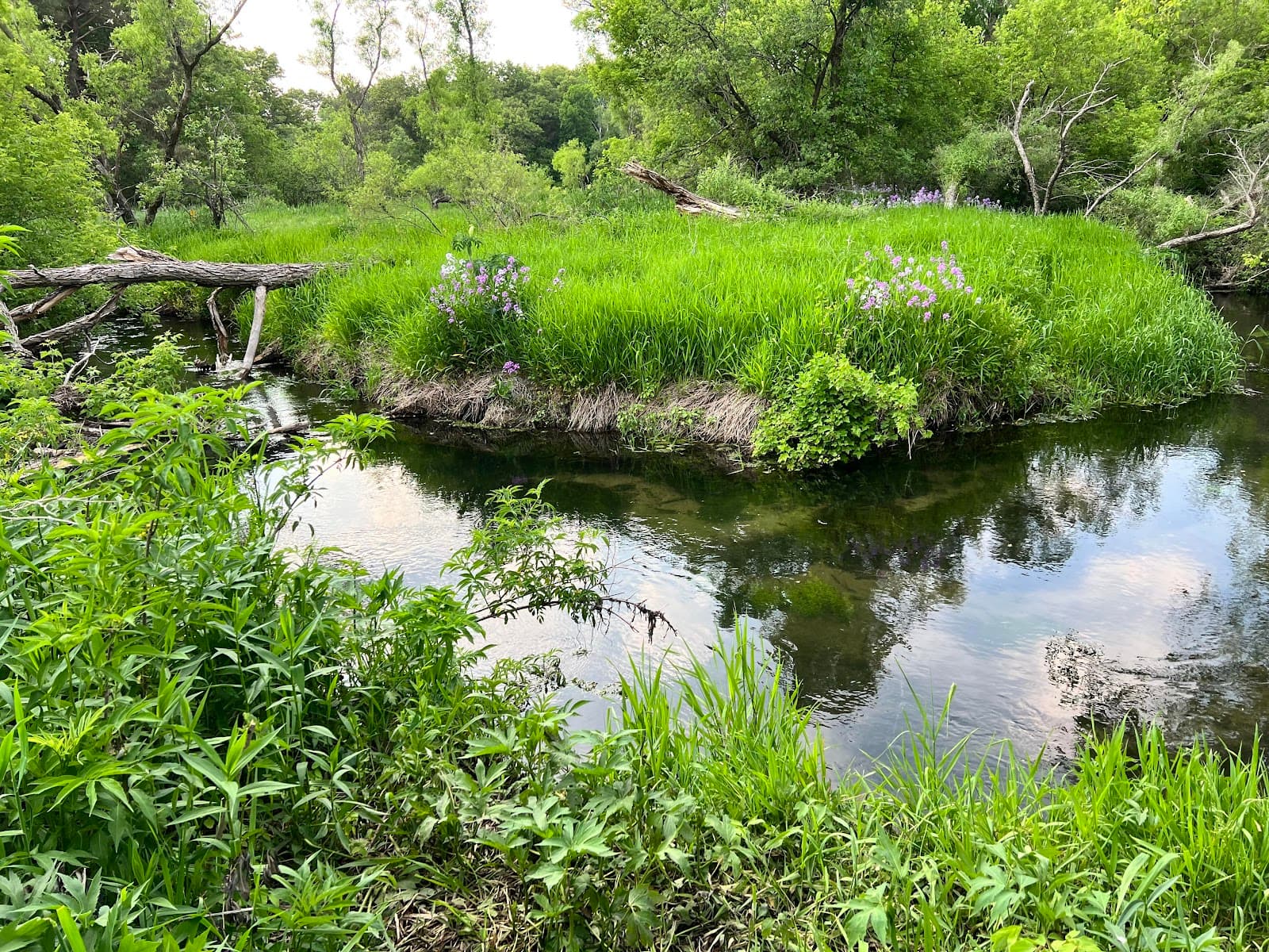 Rowan Trail