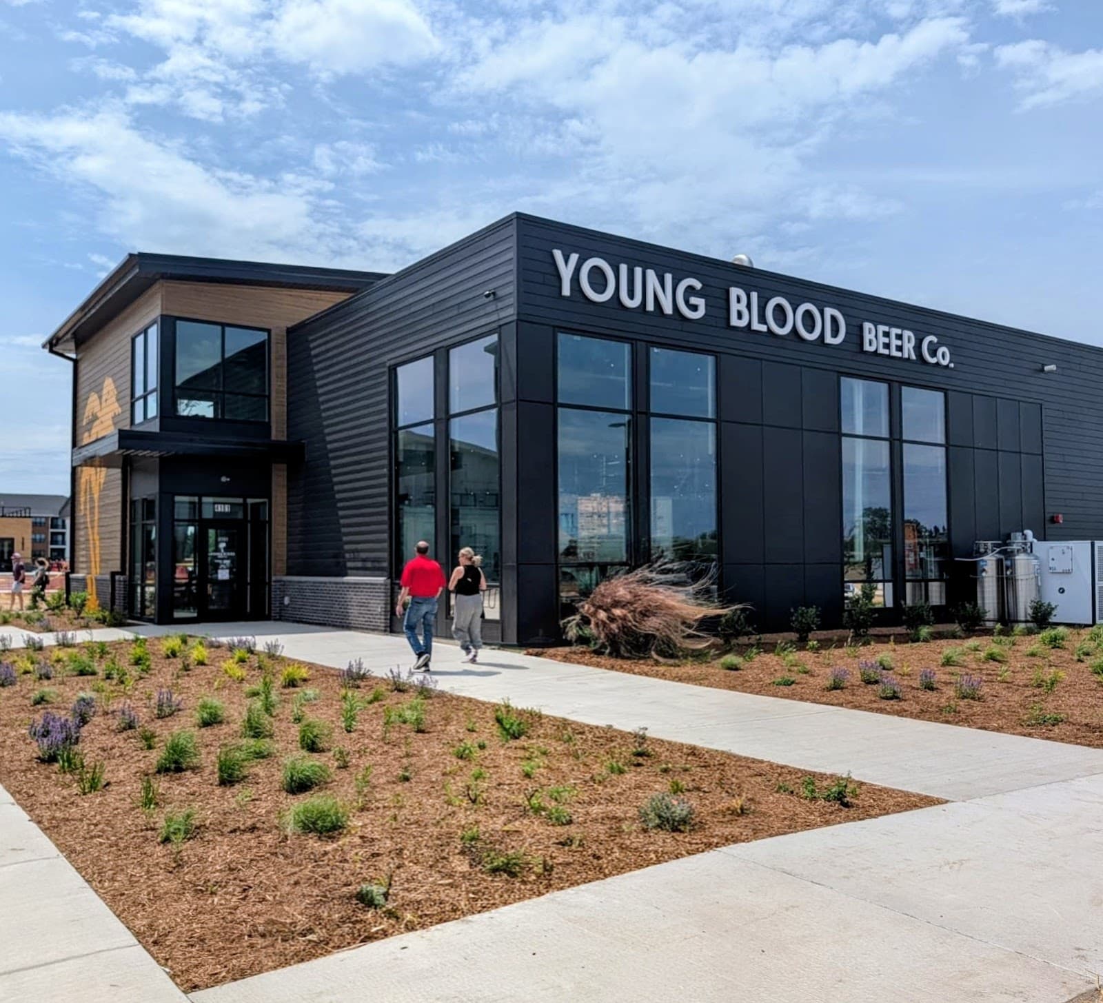 Young House