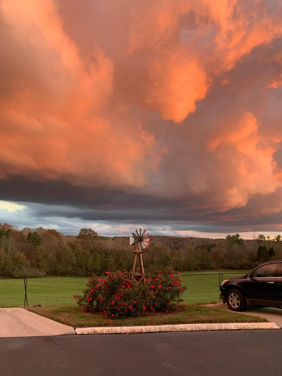 Magnolia Hills — photo 1