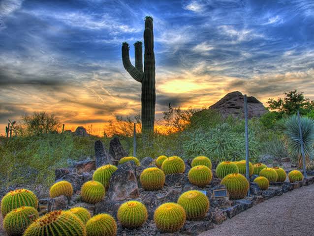 Harmony Gardens