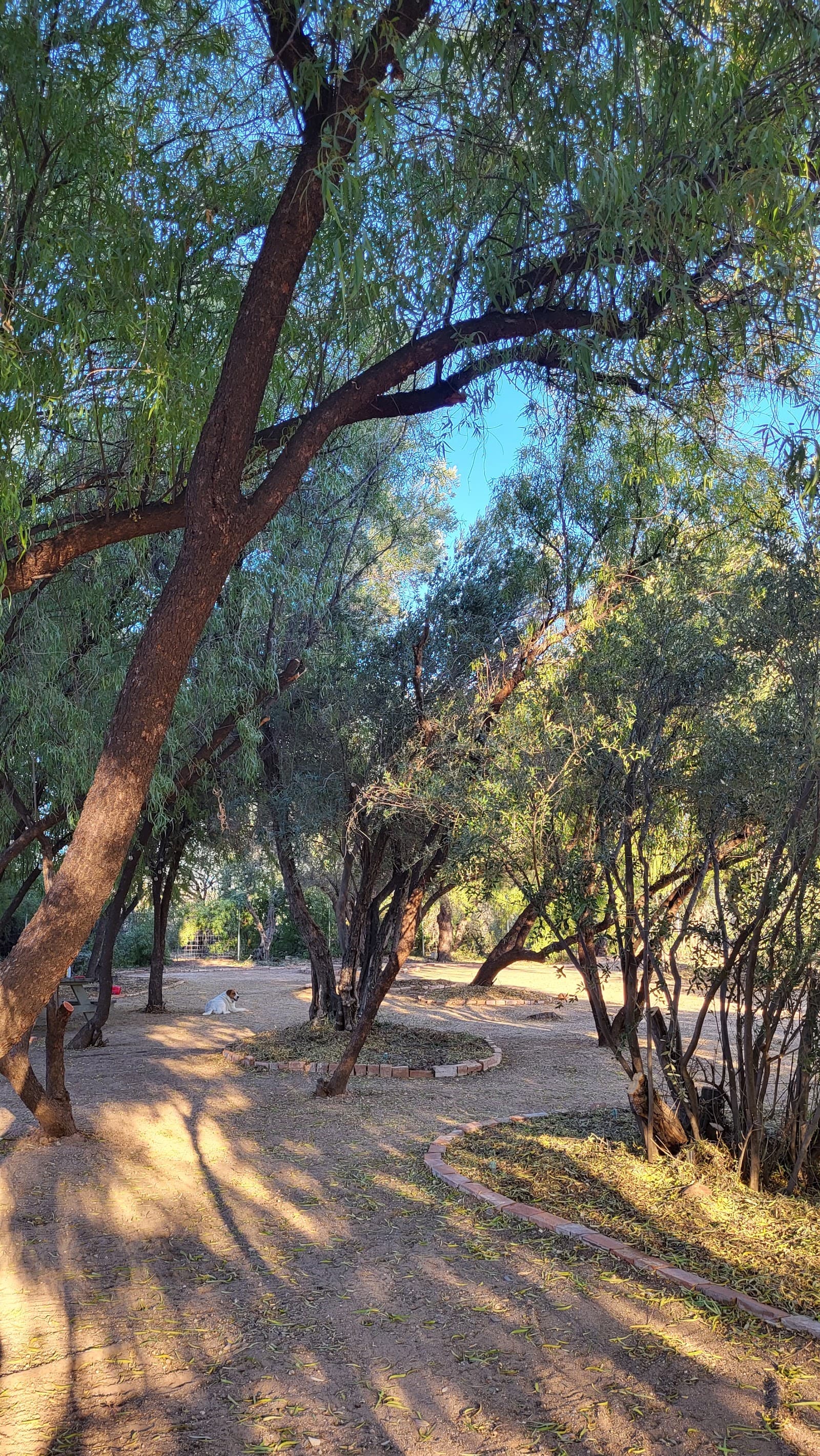 Kiko'S Ranch