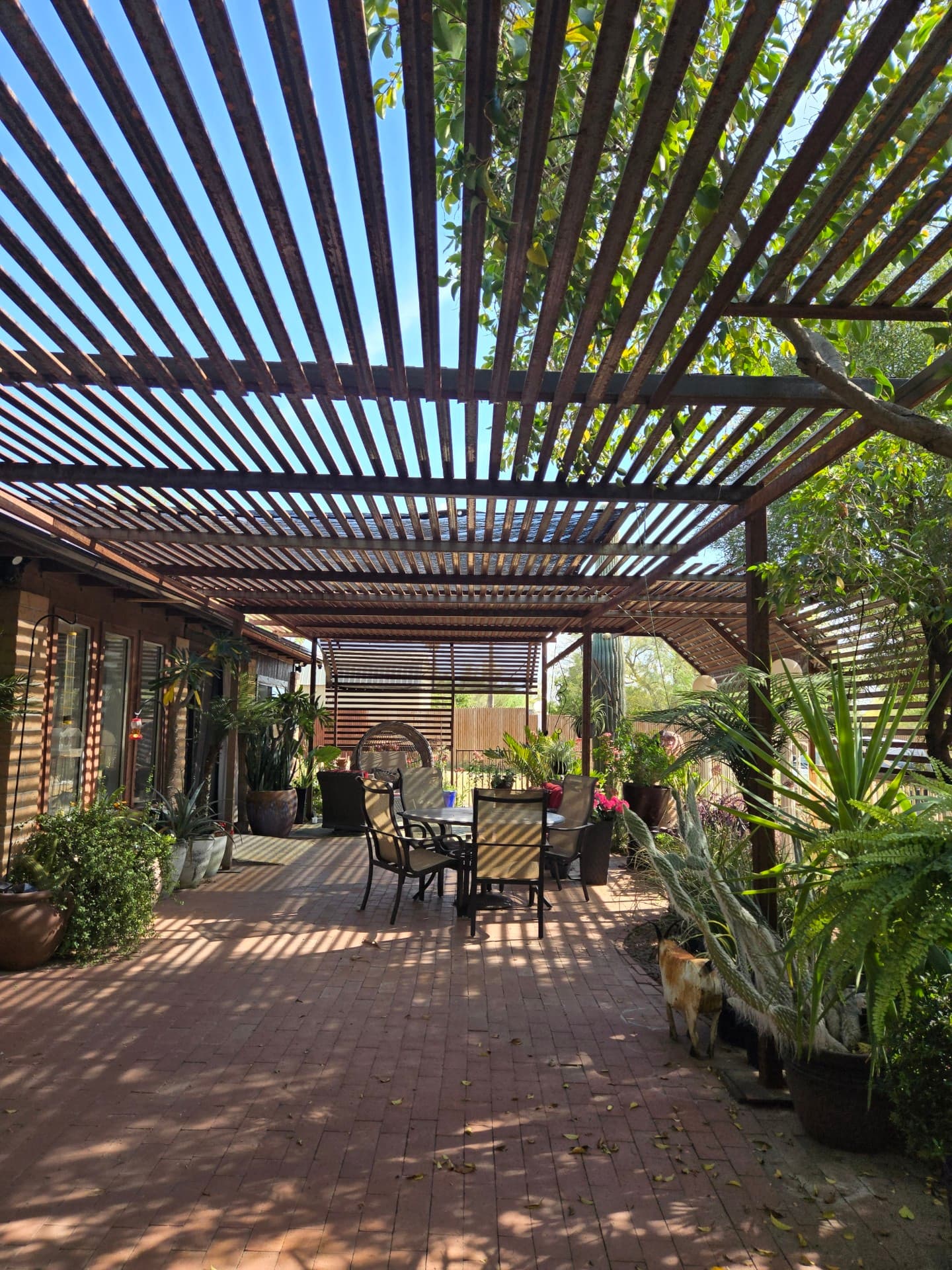 Foothills Vista Adult Care Home