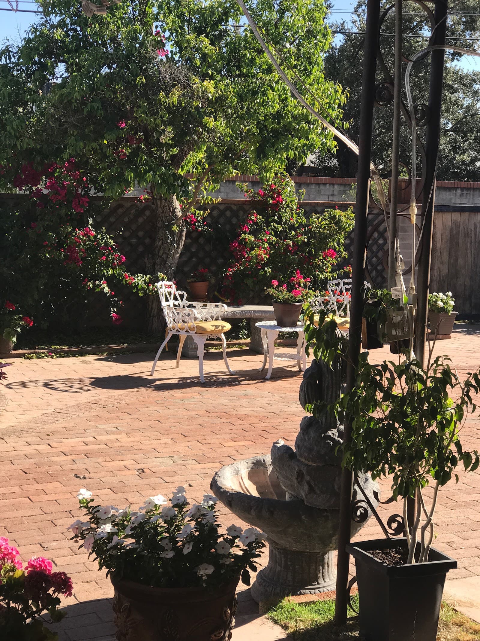 Alma'S Home Care Assisted Living