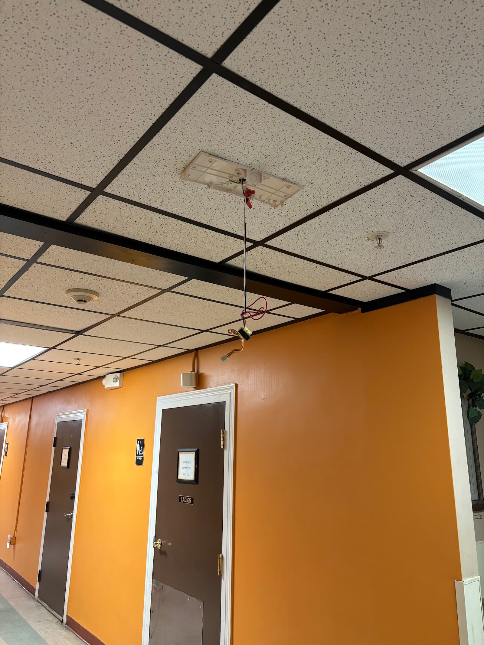 Johnsonville Adult Care Services — photo 1