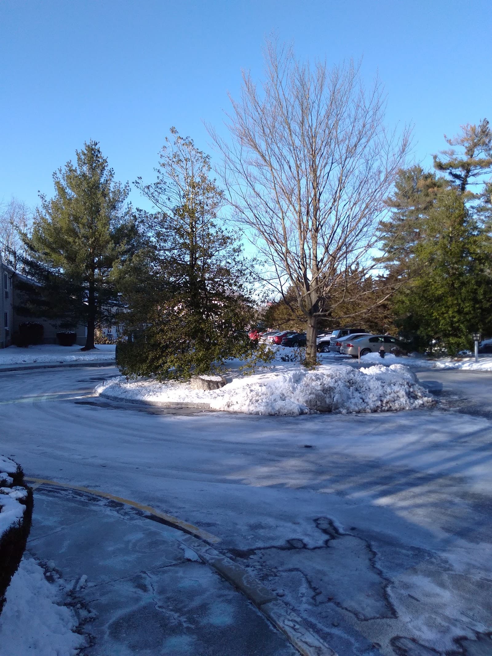 Winter Valley Residences