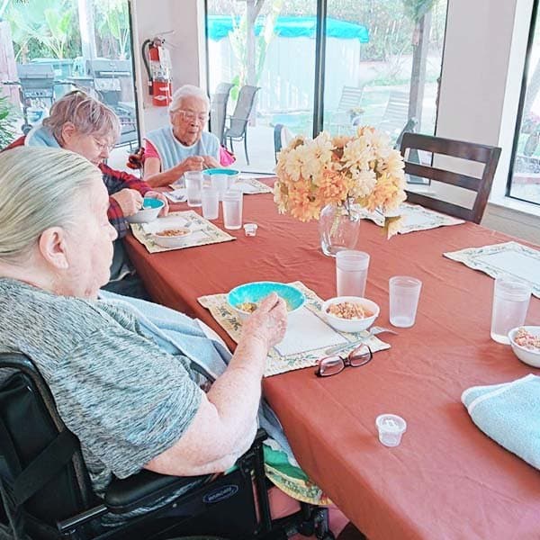Vista Senior Living