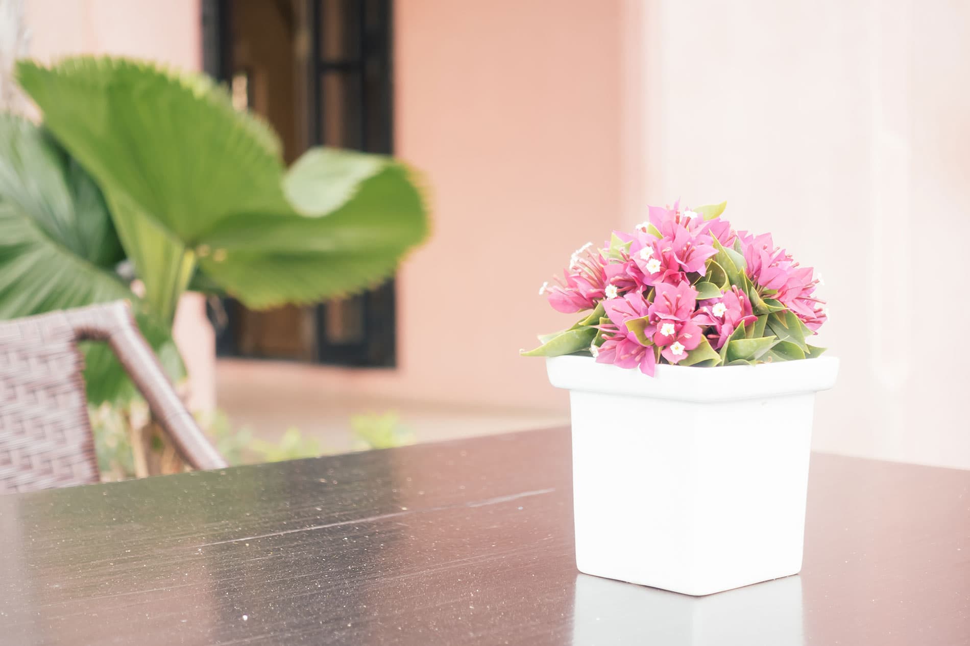 Pecan Grove Home Care
