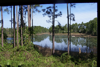 Americare Assisted Living, Inc Waters Edge