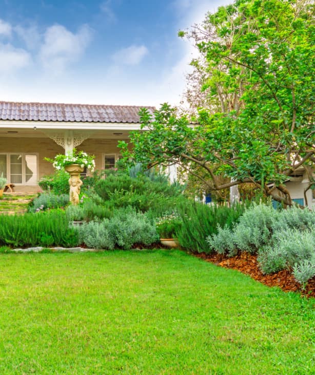 Standards Home Care