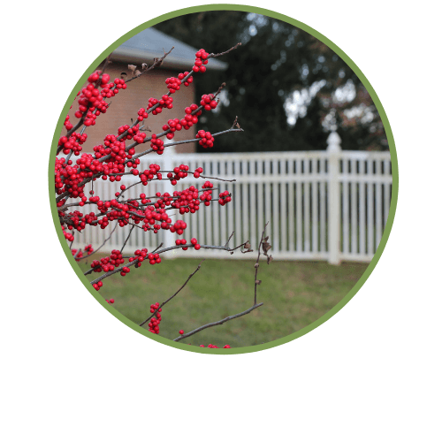 Madonna Heritage Assisted Living Home