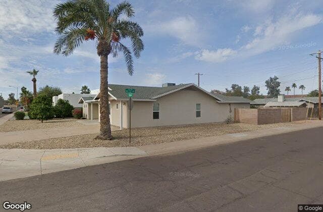 Desert Palm On Virginia