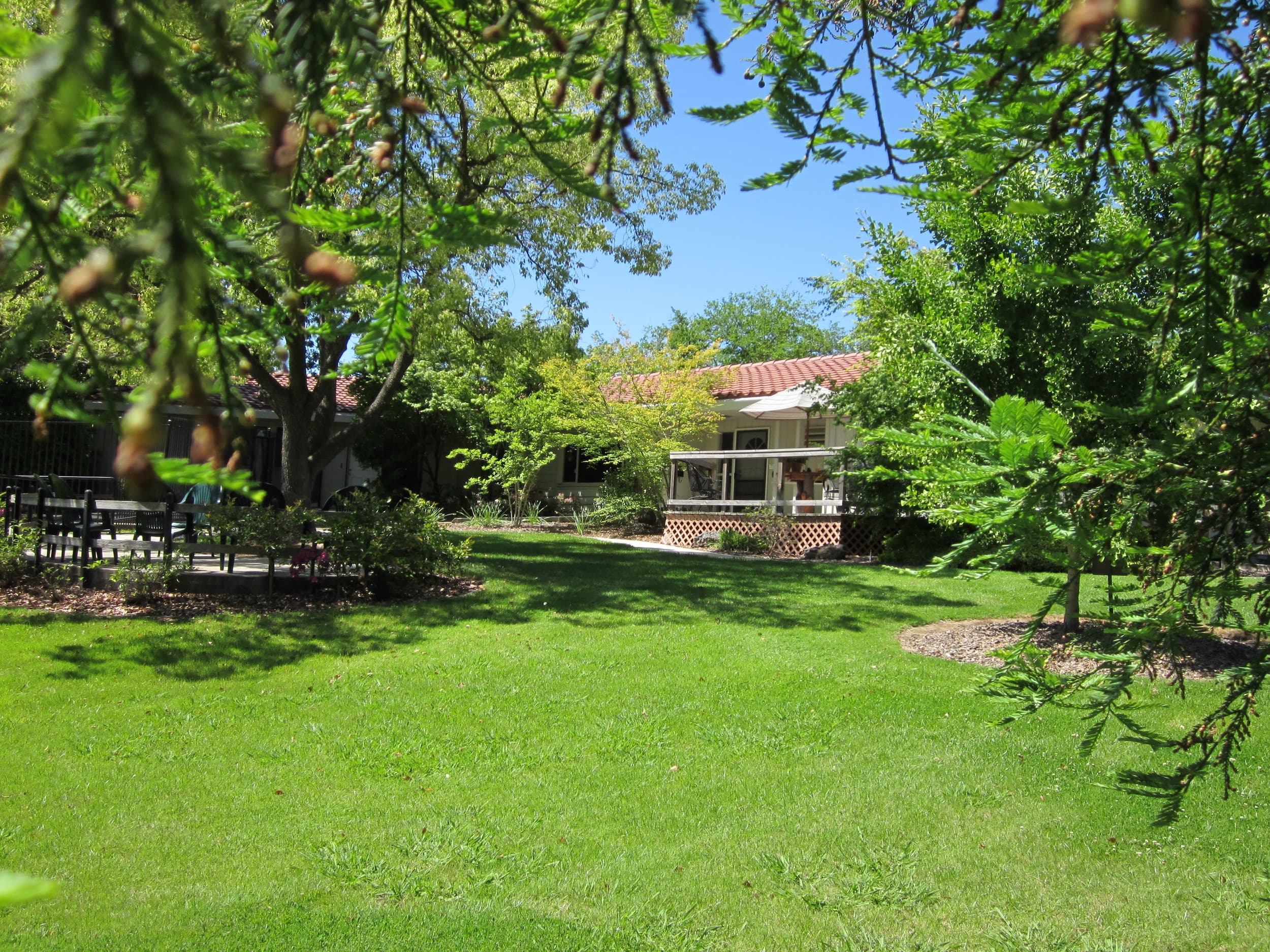 Olive Glen Foundation