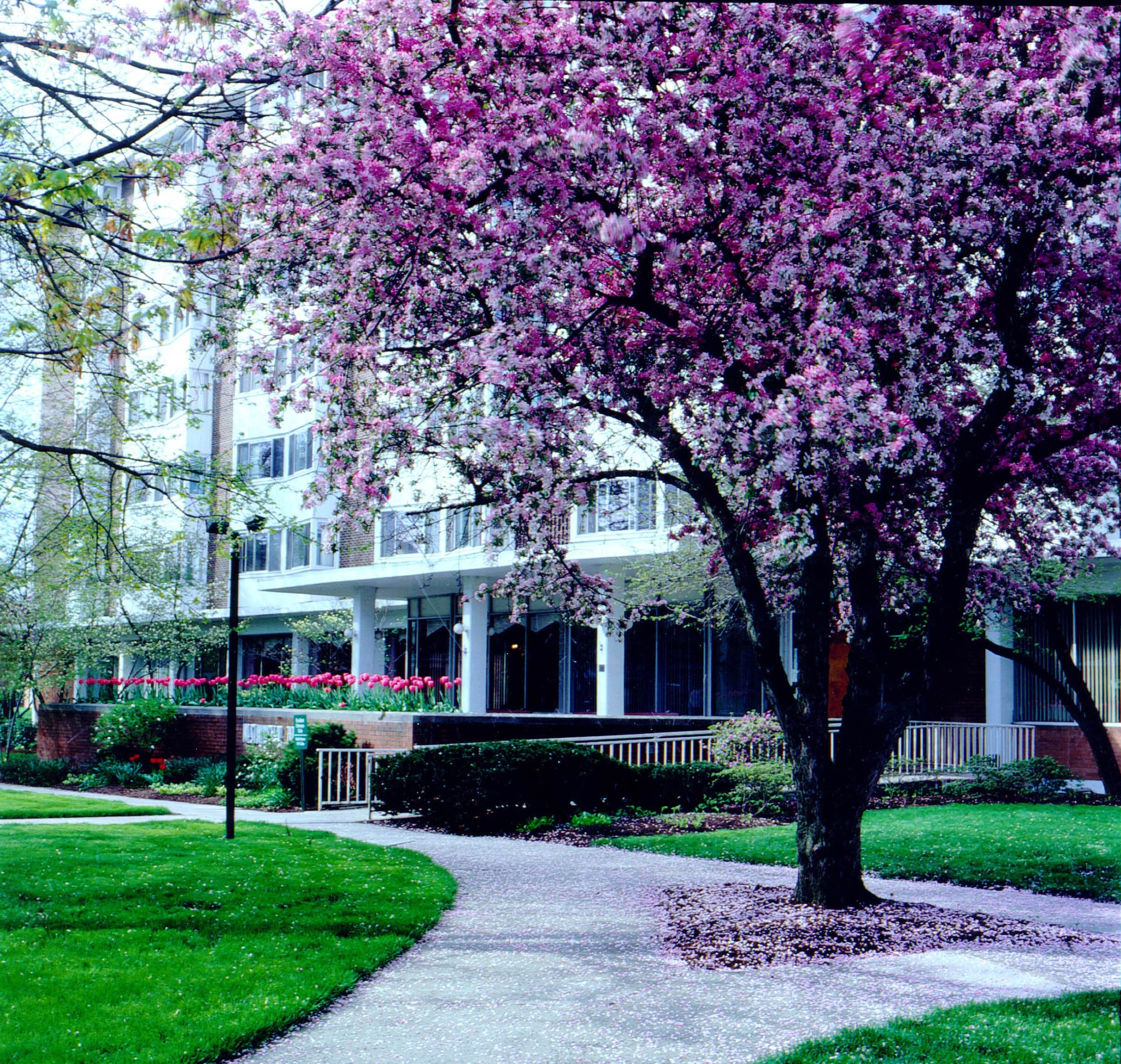 Ohio Living Westminster-Thurber