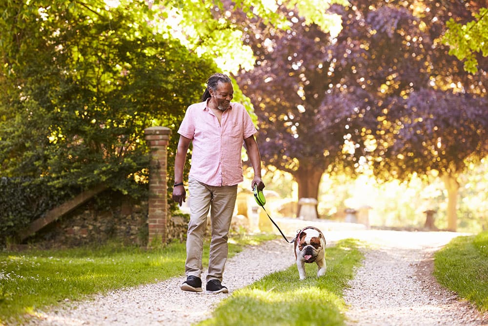 Are There Benefits to Walking Daily?