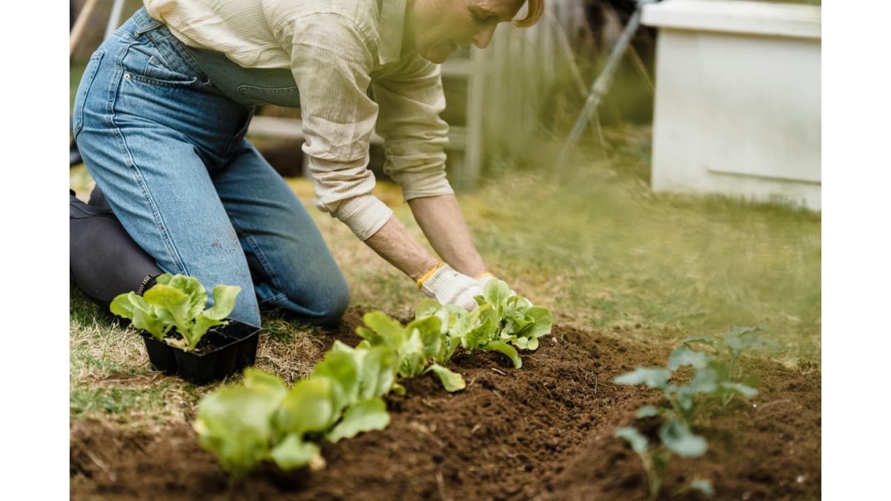 Finding the Best Senior Living Community for Your Loved One